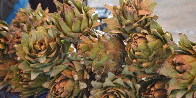 Karaciğer Dostu Enginar Tezgahta