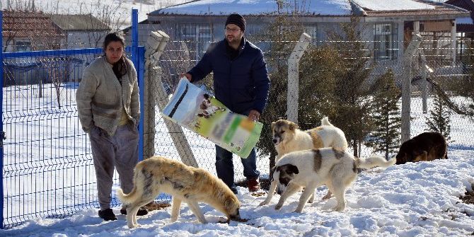 Hayvanlara Karşı ’Merhametli Olun’ Çağrısı