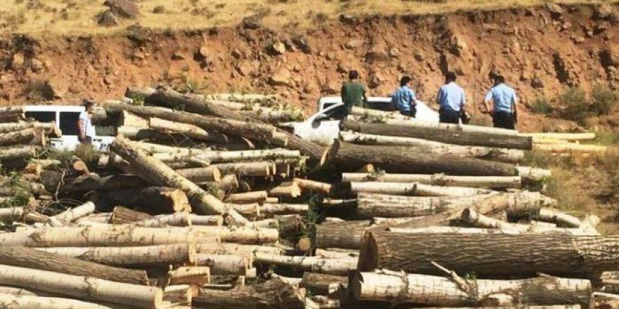 Erciş’te Yanmış Erkek Cesedi Bulundu