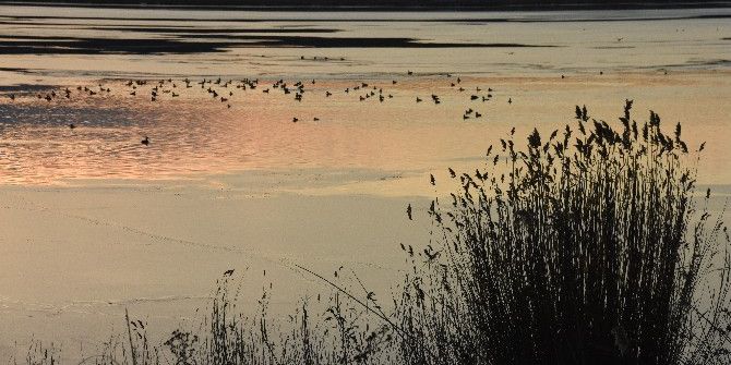 Sinop’ta Sarıkum Gölü Buz Tuttu