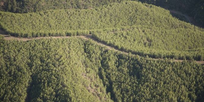 Orman Bakanlığı 2016 Yılında Karabük’te 2.5 Milyon Adet Fidanı Toprakla Buluşturdu