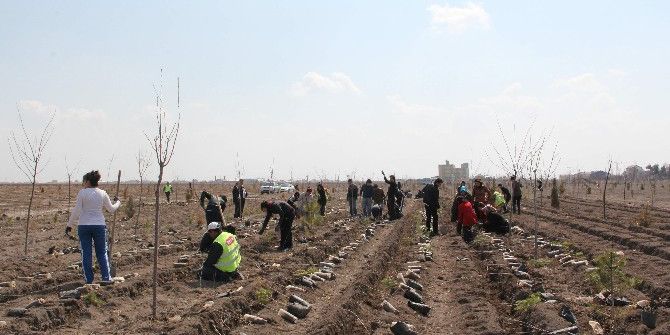 Yılın ’Sivil Toplum Farkındalık Ödülleri’ Sahiplerini Buldu