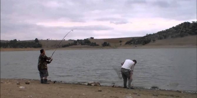 Sulak Alanların Önemi