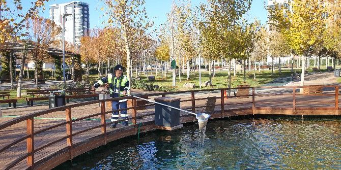 Şehitkamil’deki Parklarda Hummalı Çalışma