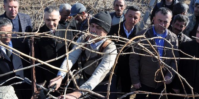 Manisa’da Sertifikalı Çiftçi Sayısı Artıyor