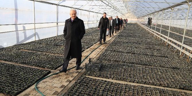 Başkan Başsoy’dan Park Ve Bahçeler Müdürlüğüne Ziyaret