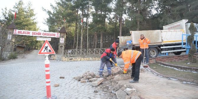 Park Ve Bahçeler Müdürlüğü Ekiplerinin Çalışmaları