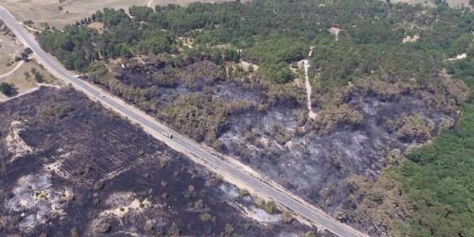 Uzunköprü’de Çamlık Ormanı Yenileniyor