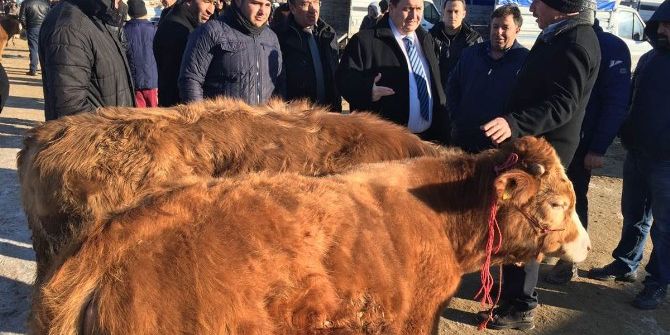 Vali Arslantaş, Canlı Hayvan Pazarında İncelemelerde Bulundu