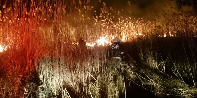 İznik’te Sazlık Yangını