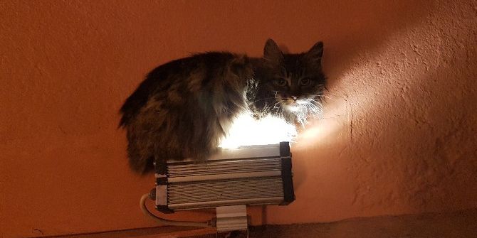 Kedinin Sobası Aydınlatma Lambası