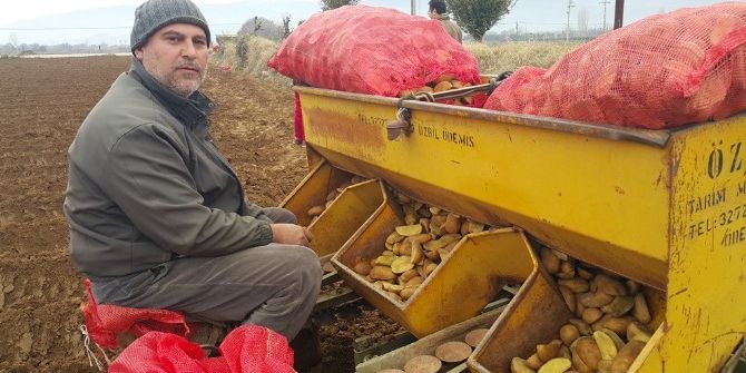 Patateste Ekimler Gecikti