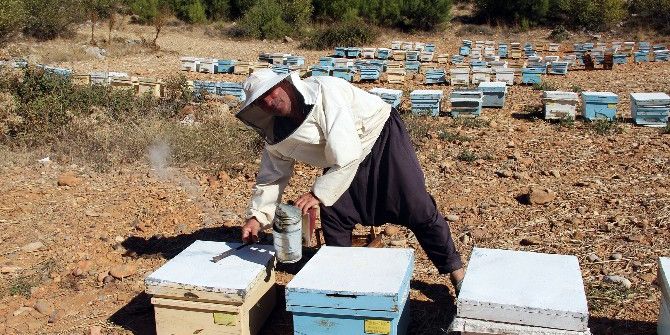 Arıcılar Kovan Desteklemelerini Bekliyor