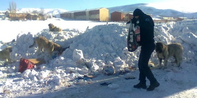 Polis Sokak Köpeklerini Doyurdu
