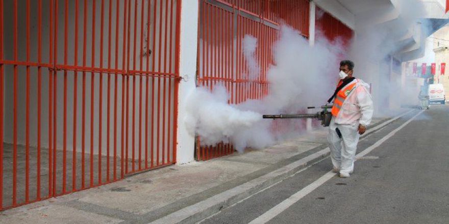 Sarayiçi’nde Sivrisinekle Mücadele