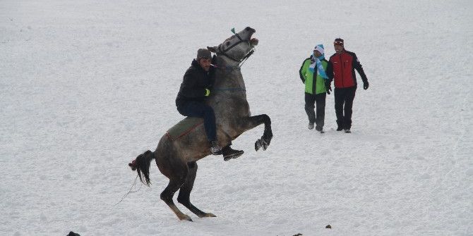 Buz Tutan Çıldır Gölü’nde Altın At Şahlandı
