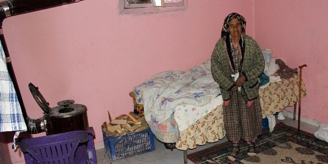 Hasibe Ninenin Çocukları Maaşını Alıyor Ama Annelerine Bakmıyor İddiası