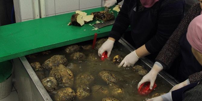 Polatlılı Girişimci Kadınların Geliştirdiği Panpek’in Üretimi Başladı