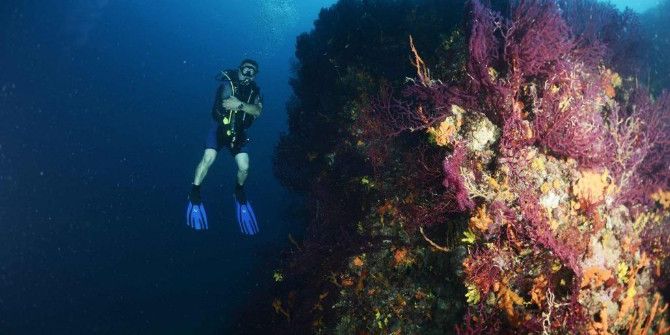 Ayvalık’ta Asırlık Mercanlara Koruma Planı