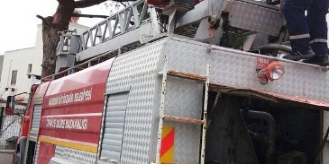 Ağaçta Mahsur Kalan Kediyi İtfaiye Kurtardı