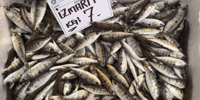 Hamsinin Kaybolduğu Tezgahta Zam Şampiyonu İstavrit