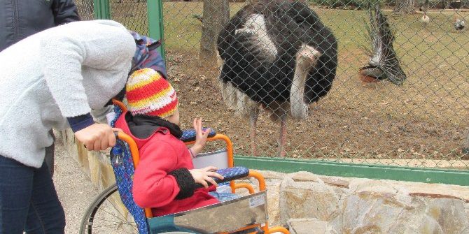 Savaş Mağduru Çocuklar İlk Kez Hayvanat Bahçesi Gördü