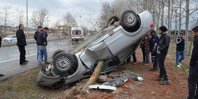 Otomobile Ağaç Saplandı, Sürücüsü Yara Almadan Kurtuldu