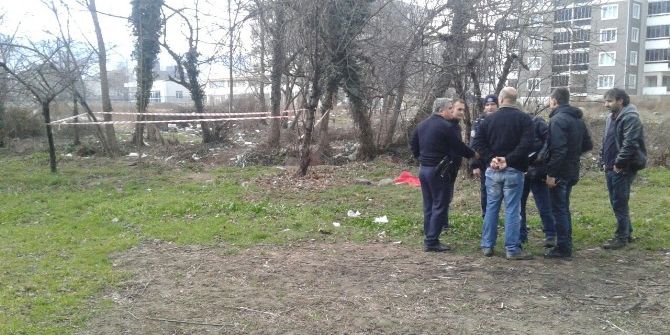 Bursa’da Bonzai Kabusu: 1 Günde 4 Can