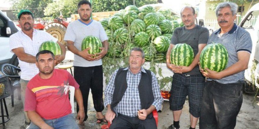Ödemiş Karpuzu Altın Yılını Yaşıyor