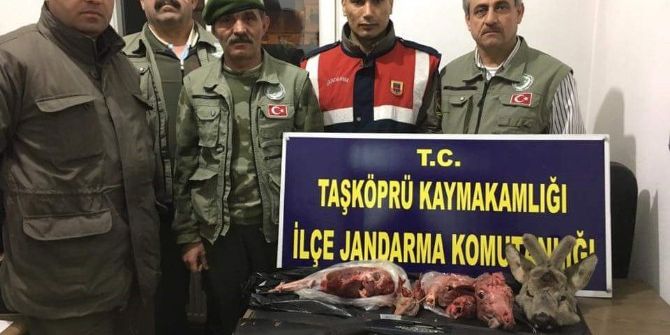 Karaca Avlayan Avcılara 13 Bin Tl Ceza