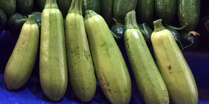 Ocak Ayının Zam Şampiyonu Kabak Oldu