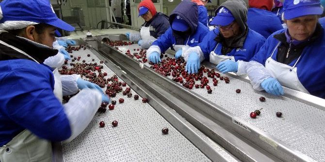 Ege Kiraz Ve Üzümde Avrupa Pazarını Güçlendiriyor