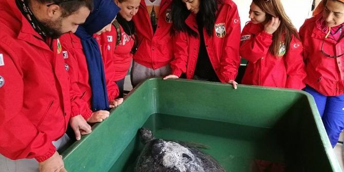 Mersin’de Carettaların Yuvalama Alanı Temizlendi