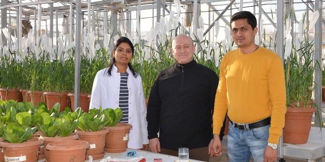 Selçuk, Tuzlu Topraklara Uygun Buğday Üretmeyi Hedefliyor