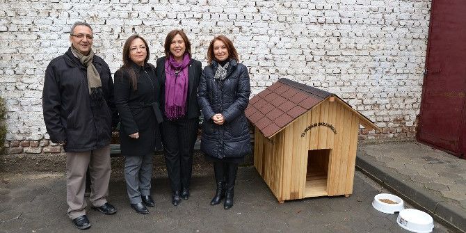 Sokak Hayvanları İçin Üç Mahalleye Beş Köpek Kulübesi