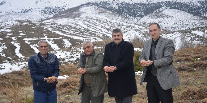 Günyüzü’nde Yaban Hayvanları İçin Araziye Yem Atıldı