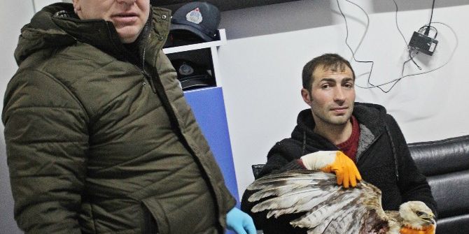 Yaralı Doğana Sahip Çıktılar