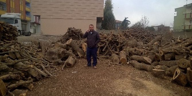 Silopi’de Soğuk Hava Odun Satışlarını Arttırdı