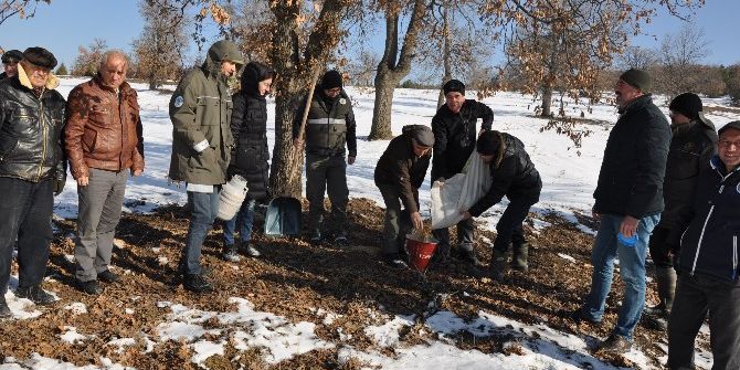 Yaban Hayvanları İçin Yemleme Çalışması