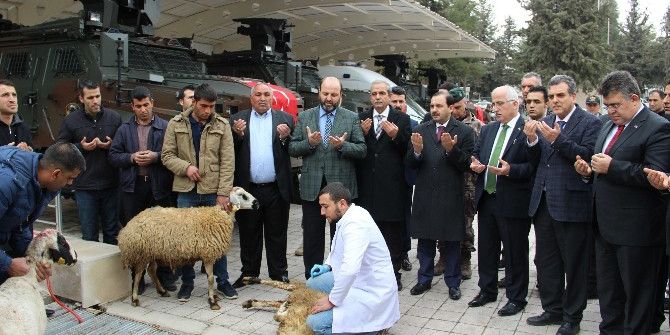 Şanlıurfa Emniyet Müdürlüğüne 64 Araç Törenle Teslim Edildi