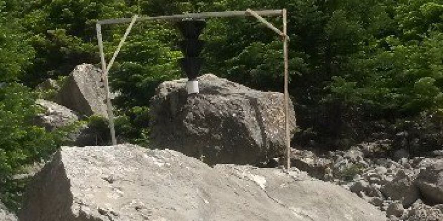 Emli Boğazındaki Göknar Ağaçları İstilacı Otlardan Temizlenecek