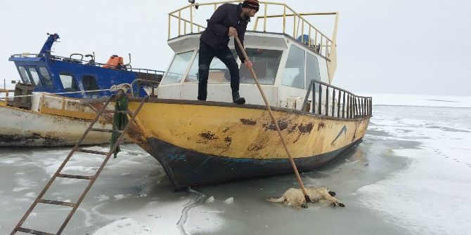 Suya Düşen Köpek Donarak Öldü