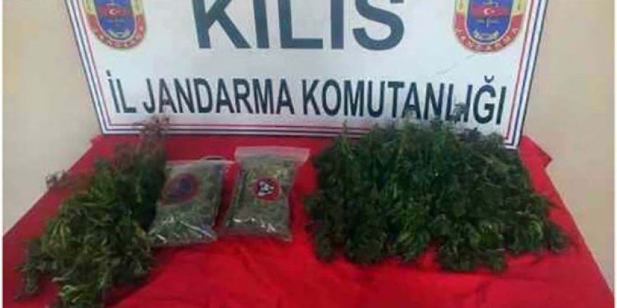 Kilis’te Kubar Esrar İle Hint Keneviri Ele Geçirildi