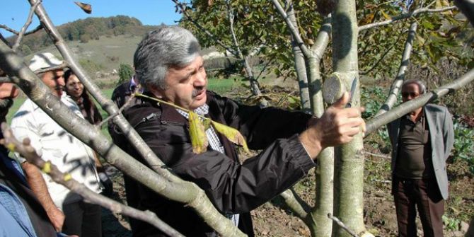 Üreticiye ’Budama’ Uyarısı