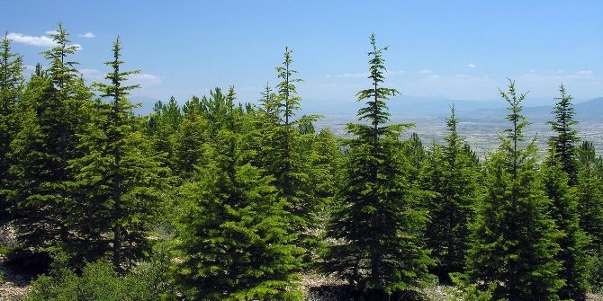 Yozgat’ta 70 Milyon 538 Bin Fidan Toprakla Buluştu