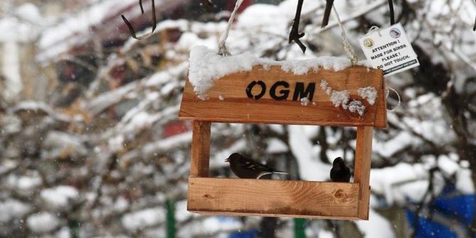 Artvin’de Kuşlar İçin Suni Yuva