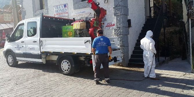 Vektörle Mücadelede Yaz Hazırlıkları Sürüyor