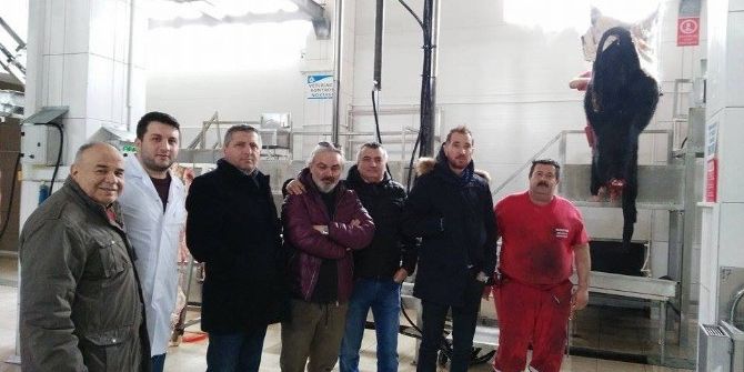 Pazaryeri Mezbahasına Avrupa’dan Misafir