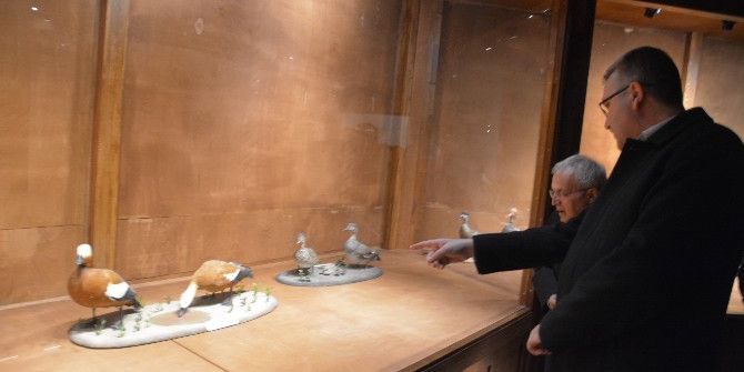 Karacabey’de ‘Dünya Sulak Alanlar Günü’ Etkinliği