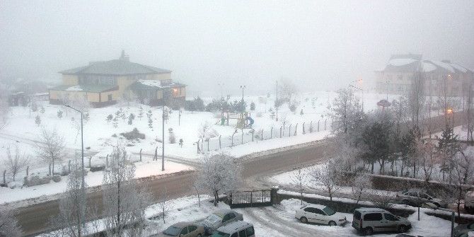 Erzurum’da Yoğun Sis Uçak Seferlerini Aksattı